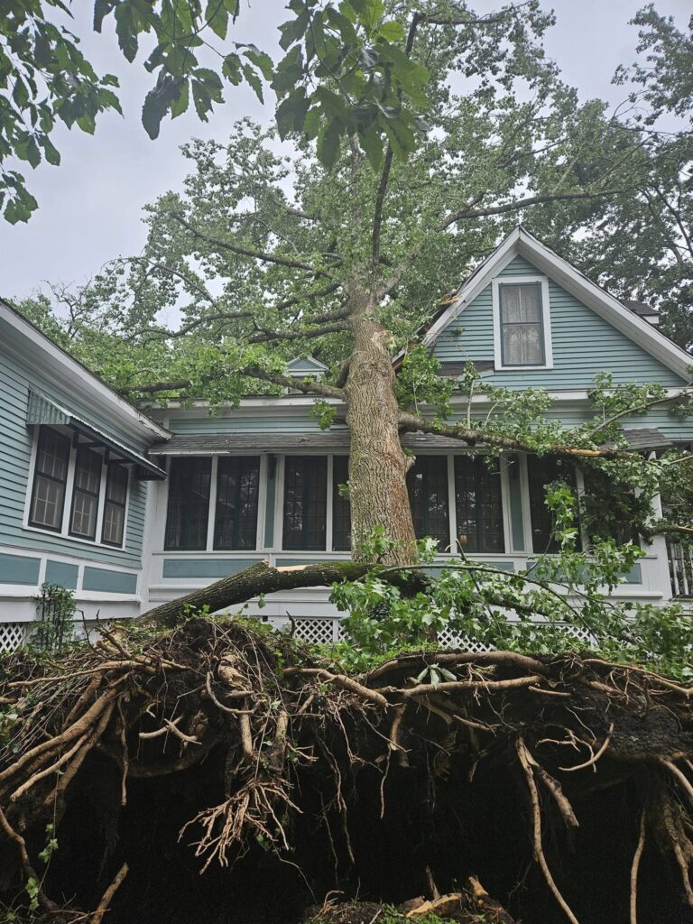 water damage restoration