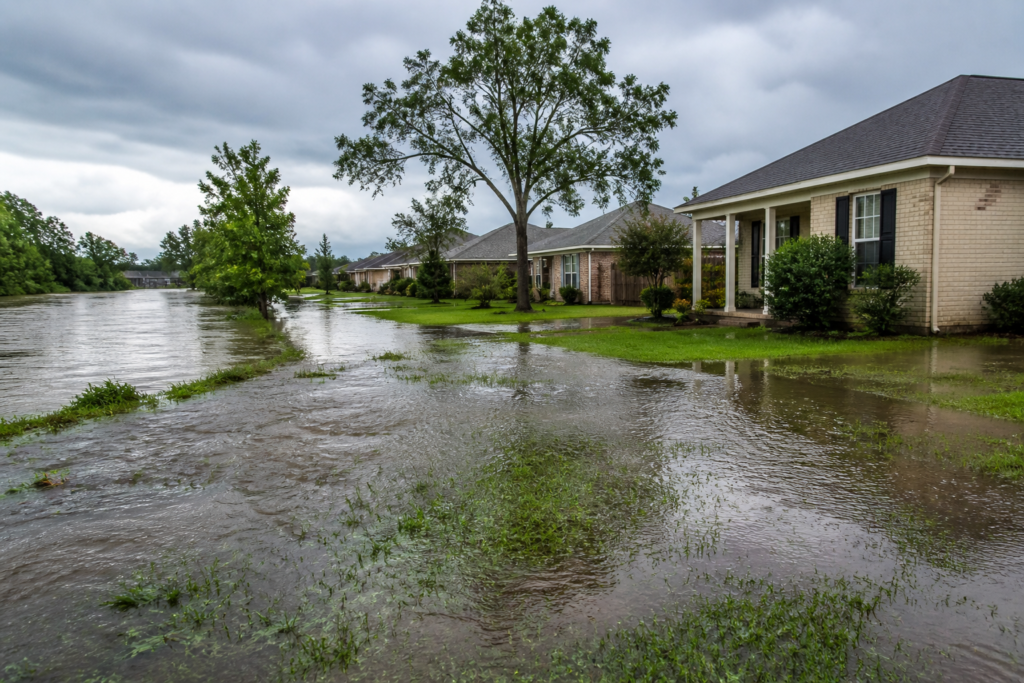 Water Damage Restoration Broussard South
