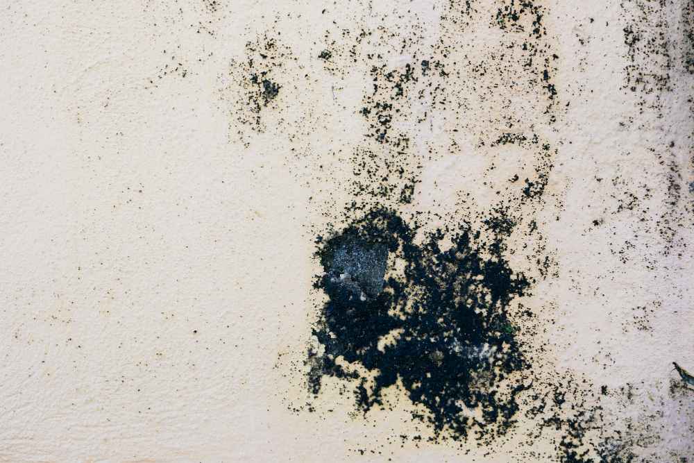 Drywall Fails in Abbeville