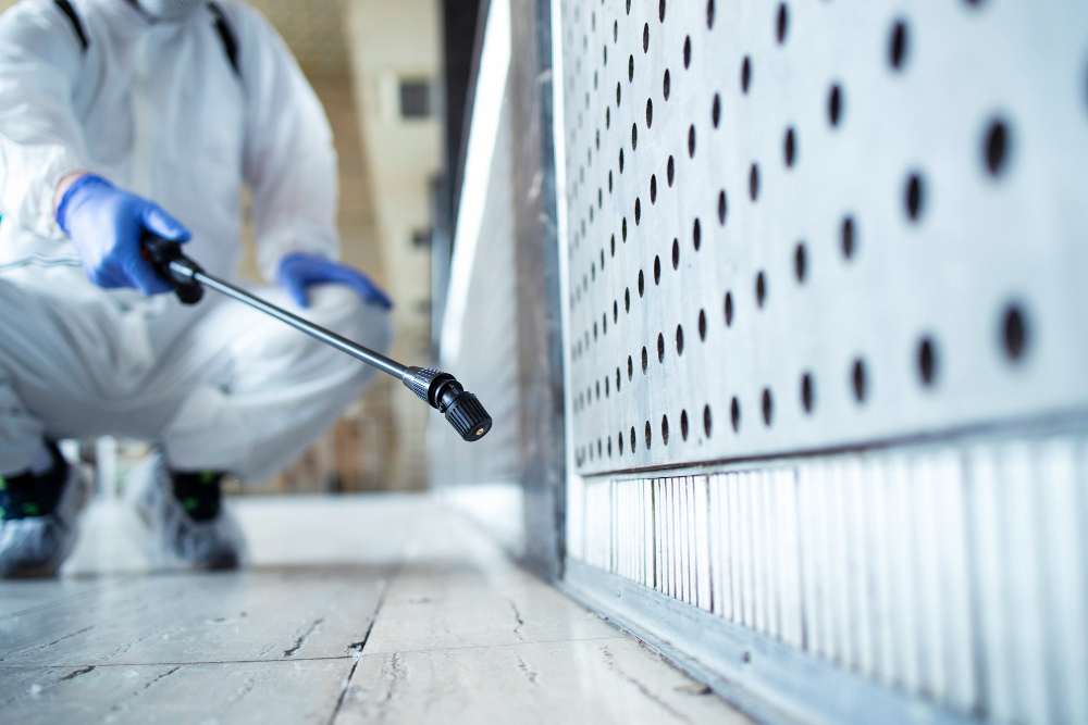 Mold Prevention