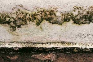 Roof Leak Water Damage