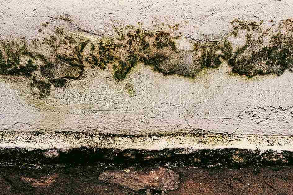 Roof Leak Water Damage